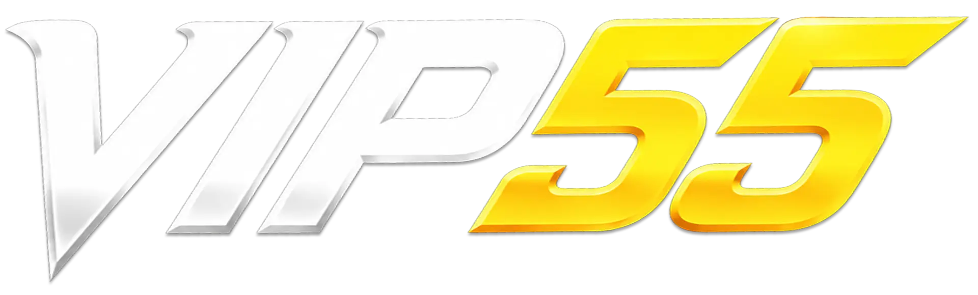 LOGO VIP55